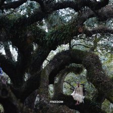 Ringtone Beyonce - Freedom free download