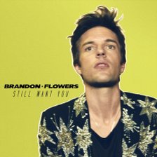 Ringtone Brandon Flowers - Still Want You free download