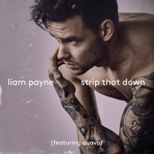 Ringtone Liam Payne - Strip That Down free download