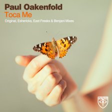 Ringtone Paul Oakenfold - Blow Fish free download