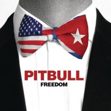 Ringtone Pitbull - Freedom free download
