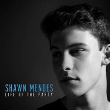Ringtone Shawn Mendes - Life of the Party free download