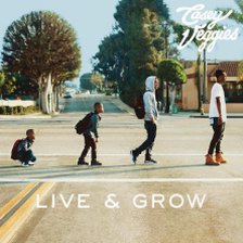 Ringtone Casey Veggies - A Little Time free download