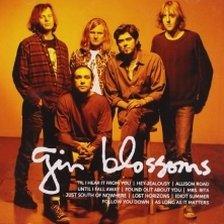 Ringtone Gin Blossoms - Til I Hear It From You free download