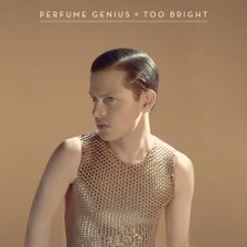 Ringtone Perfume Genius - Fool free download