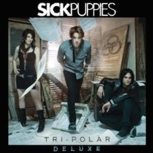 Ringtone Sick Puppies - So What I Lied free download