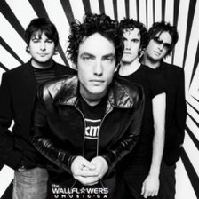 Ringtone The Wallflowers - Invisible City free download