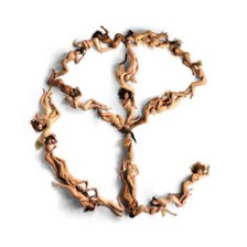 Ringtone Yellow Claw - Blood Diamond free download